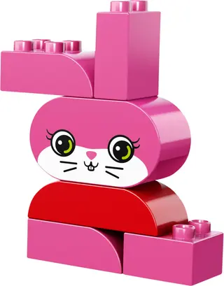 Creative Animals