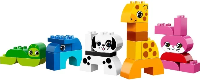 Creative Animals