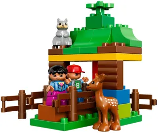 Forest: Animals