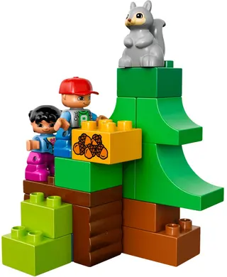 Forest: Animals