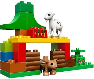 Forest: Animals