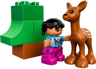 Forest: Animals