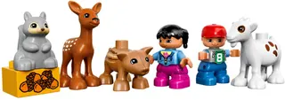 Forest: Animals