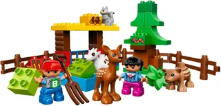 Forest: Animals