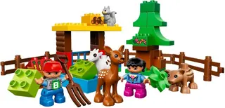 Forest: Animals