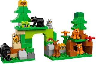 Forest: Park