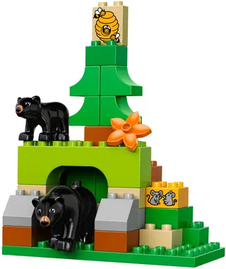 Forest: Park