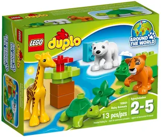 Baby Animals