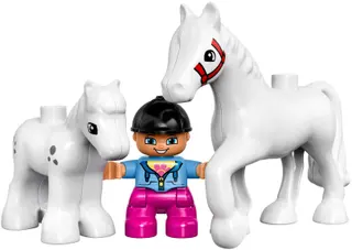 Horses