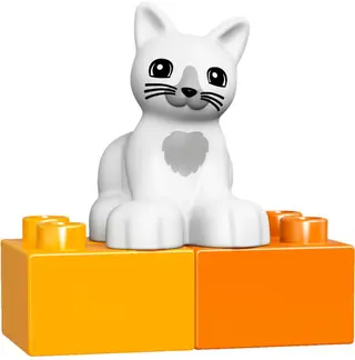 Pets