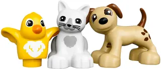 Pets