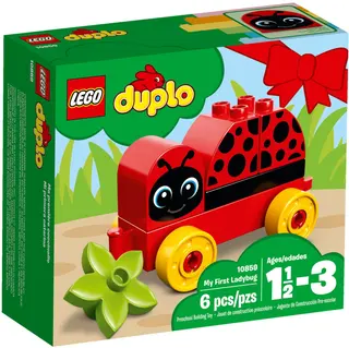 Mijn eerste lieveheersbeestje