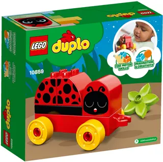 Mijn eerste lieveheersbeestje