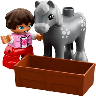 Boerderijponystal