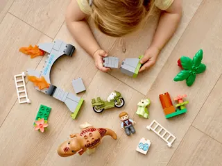 T. rex und Triceratops Dinosaurier-Ausbruch