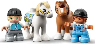 Paardenstal en ponyverzorging