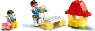 Paardenstal en ponyverzorging