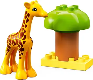 Wildtiere Afrikas