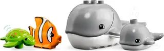 Wild Animals of the Ocean