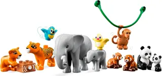 Wilde dieren van Azië