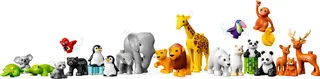 Wildtiere der Welt