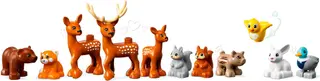 Wildtiere Europas
