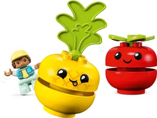 Fruit and Vegetable Tractor