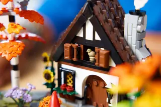 Herbstlicher Cottage-Garten