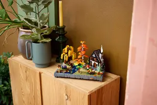 Herbstlicher Cottage-Garten