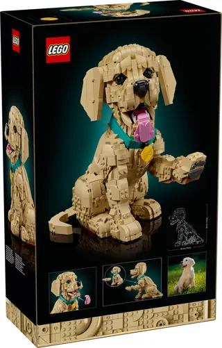 Golden Retriever Welpe