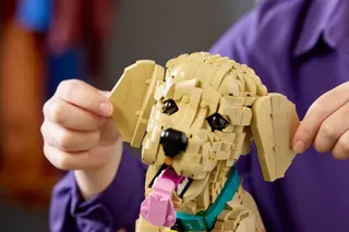 Golden Retriever Welpe