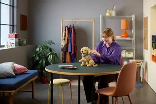 Golden Retriever Welpe