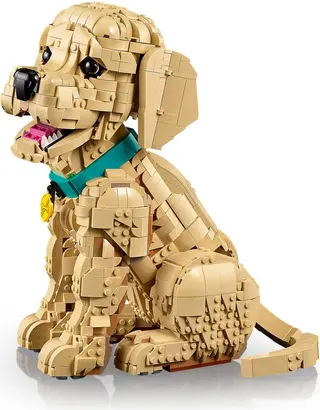 Golden Retriever Welpe