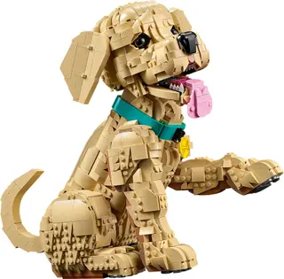 Golden Retriever Welpe