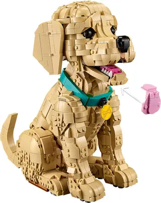 Golden Retriever Welpe