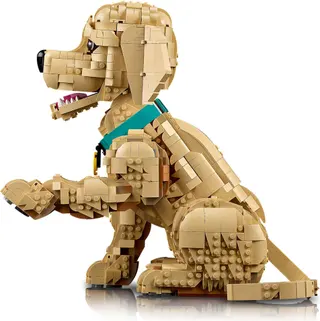 Golden Retriever Welpe