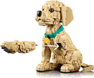 Golden Retriever Welpe
