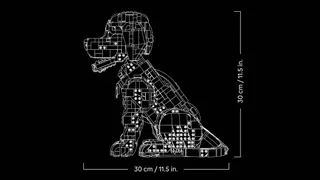 Golden Retriever Welpe