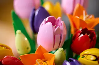 Tulpenboeket