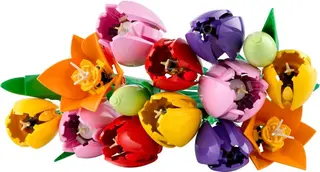 Tulpenboeket