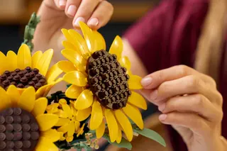 Sonnenblumenstrauß