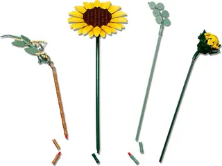 Sonnenblumenstrauß