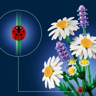 Marguerites