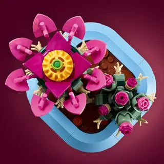 Cactus en fleurs