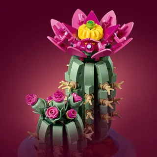 Cactus en fleurs