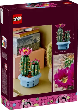 Cactus en fleurs