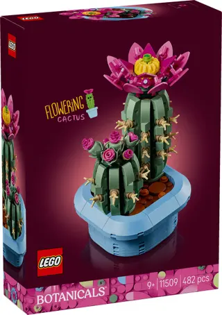 Cactus en fleurs