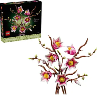 Magnolienzweige