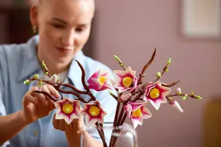 Magnolienzweige