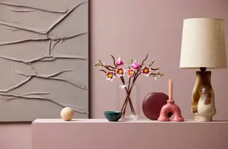 Magnolienzweige